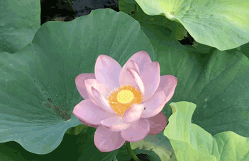 沈陽(yáng)反滲透水處理設(shè)備廠(chǎng)家談反滲透水處理的優(yōu)勢(shì)